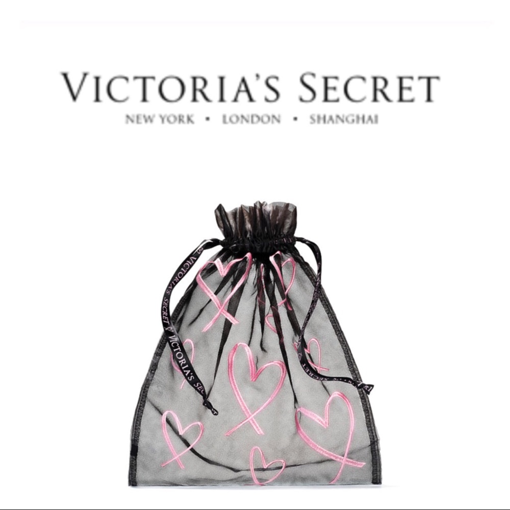 VICTORIAS SECRET LINGERIE OR BIKINI BAG NWT